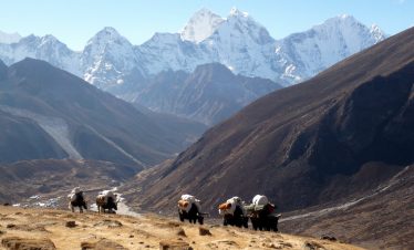 Lhotse South face Expedition is best known for its proximity to Mount Everest and at 8,516 metres it is the 4th highest Peak in the world. The climbing route for the Lhotse Expedition follows the same route as the climb on Everest, including the aptly named Lhotse face almost all the way till Everest’s Geneva Spur from where it follows a steep climb through a long couloir to the summit.