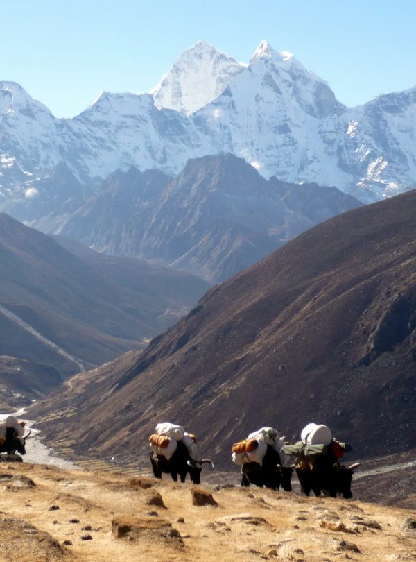 Lhotse South face Expedition is best known for its proximity to Mount Everest and at 8,516 metres it is the 4th highest Peak in the world. The climbing route for the Lhotse Expedition follows the same route as the climb on Everest, including the aptly named Lhotse face almost all the way till Everest’s Geneva Spur from where it follows a steep climb through a long couloir to the summit.