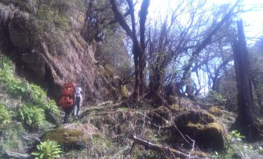 Baruntse Expedition