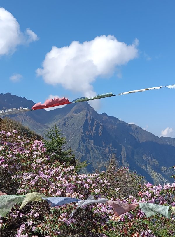 Everest Base Camp Trekking
