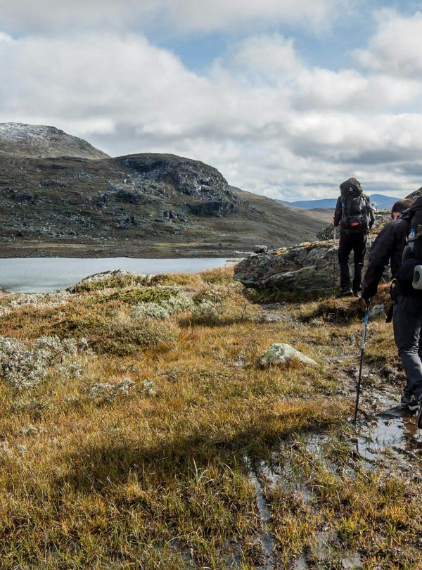 Adventurous hikers explore the scenic Vålådalen landscape in Sweden during fall.
