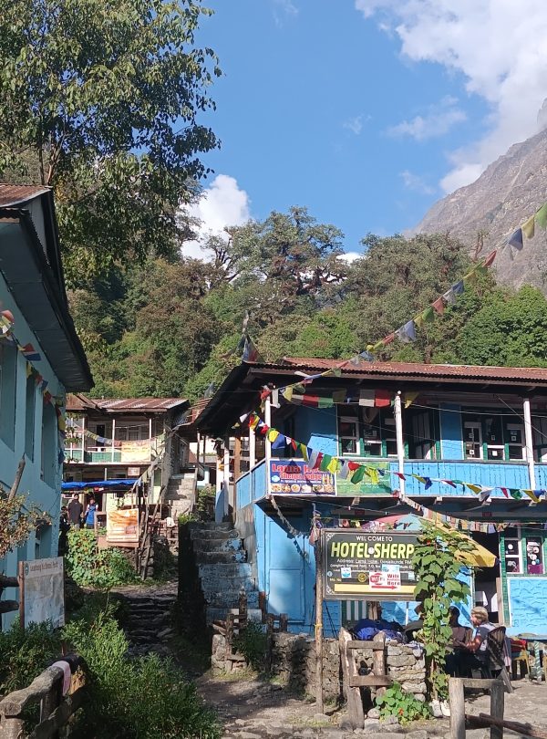 Langtang Tamang Heritage Trek
