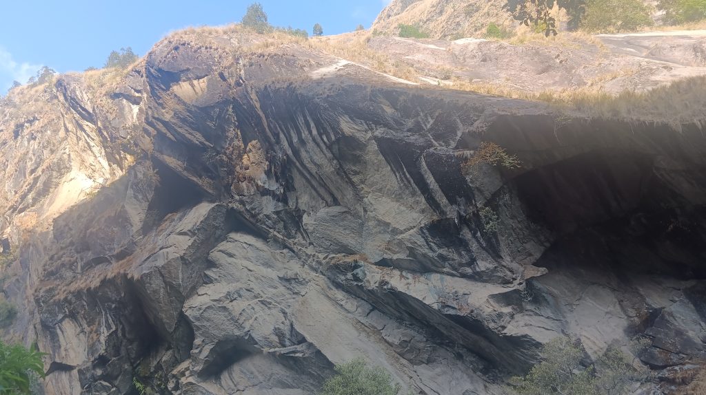 Honey hunting is an activity of collecting the honey of wild bees,