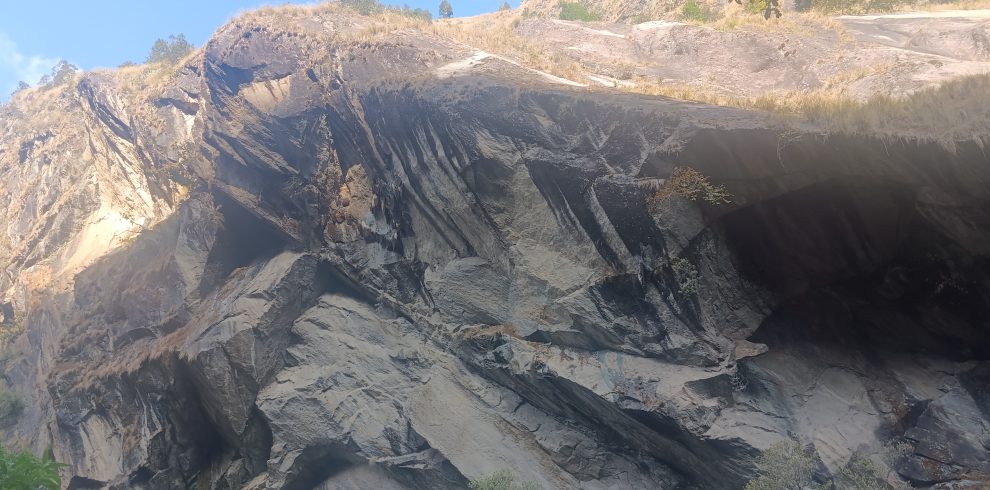 Honey hunting is an activity of collecting the honey of wild bees,